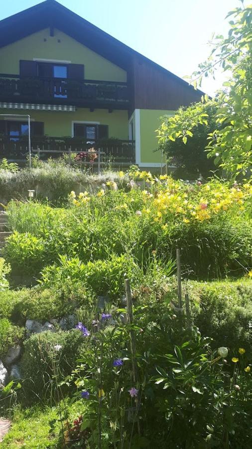 Haus Pilz Apartment Obertraun Bagian luar foto